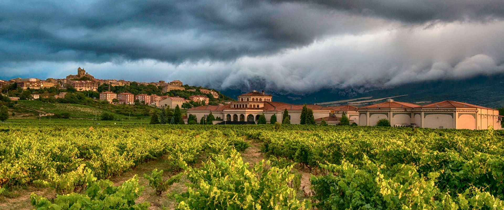 Camino Ignaciano Rioja Alavesa