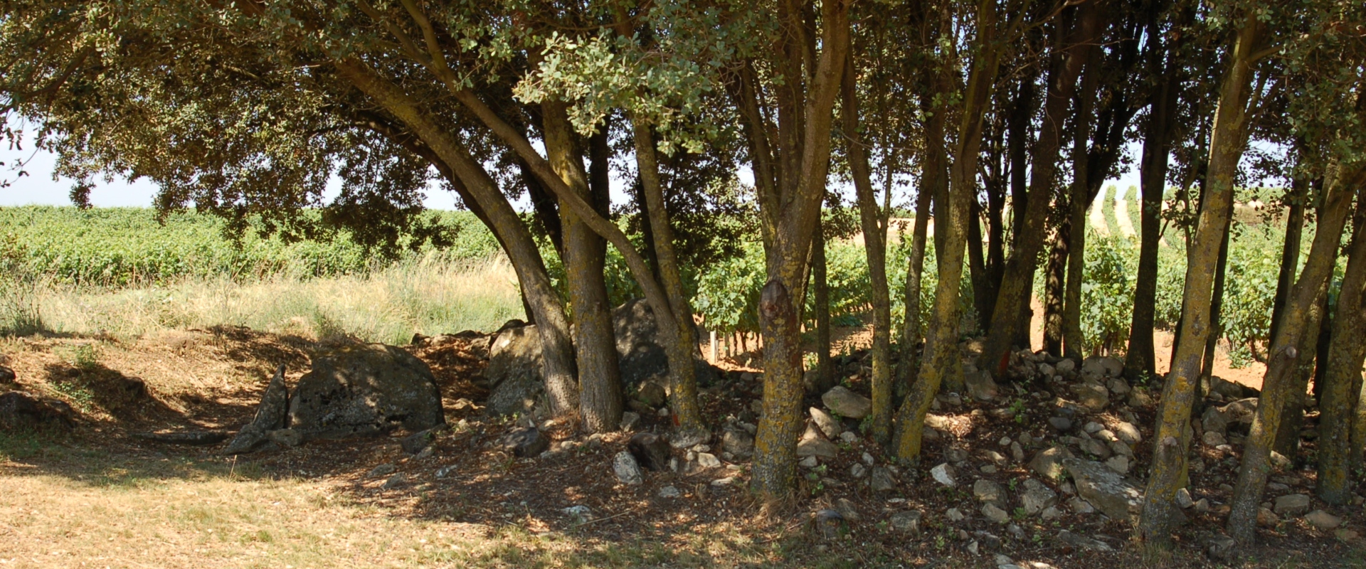 Dolmen El Encinal