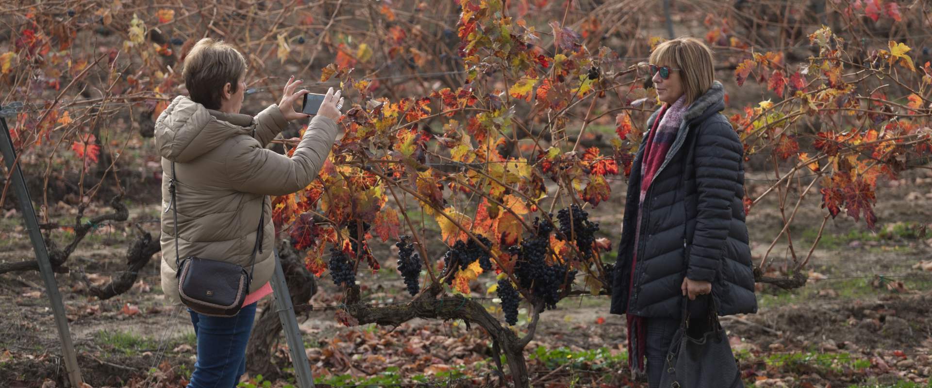 Mujeres disfrutando del otoño en Rioja Alavesa