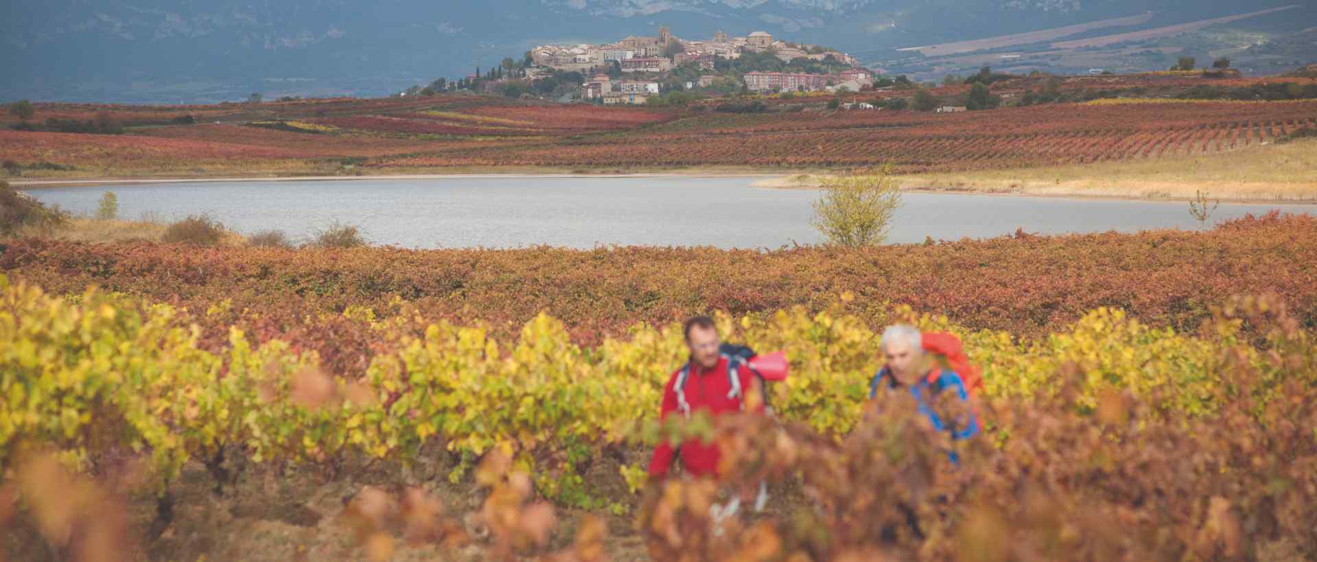 Lagunas de Laguardia en Rioja Alavesa